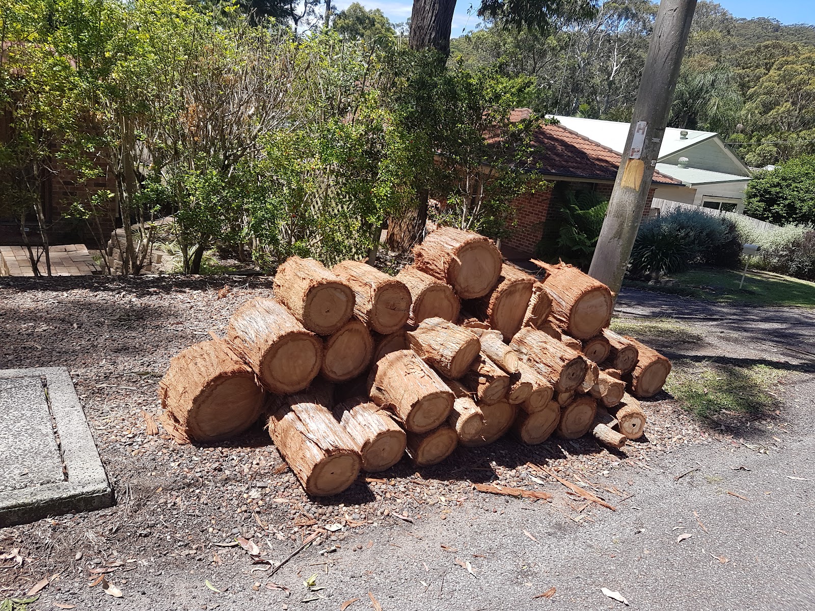 A felled trunk cut into rounds and stacked in a garden