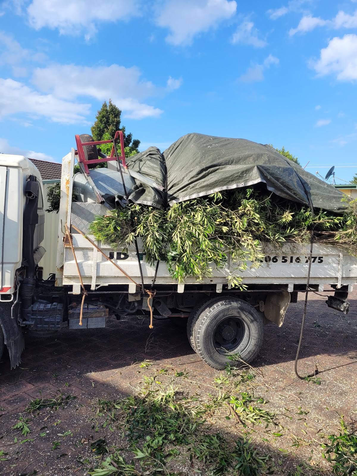 The JD Tree Care tipper loaded with green waste under a tarp